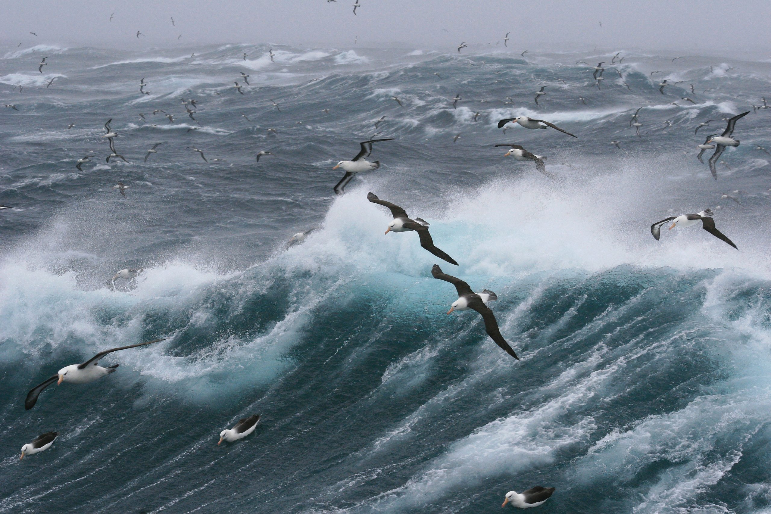 Journey through the storm. Find strength in adversity.